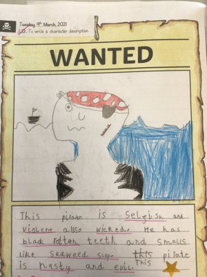 Image of Wanted: Evil Treasure Stealing Pirates